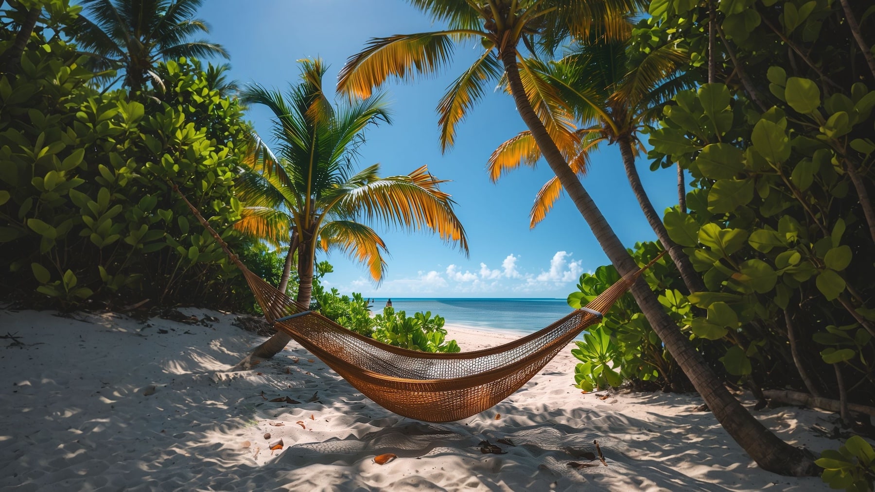 Tropical paradise